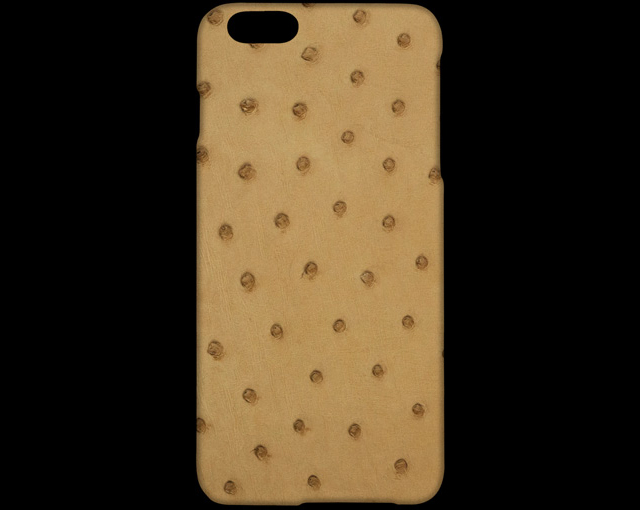 iPHONE6 PLUS CASE