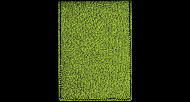 RHODIA CASE