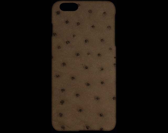 iPHONE6 CASE