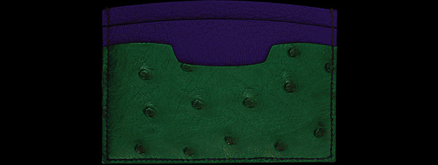 CREDIT CARD CASE